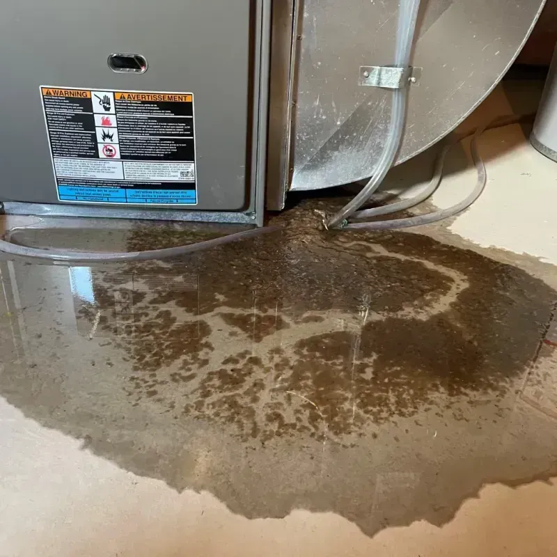 Appliance Leak Cleanup in Bryan County, GA